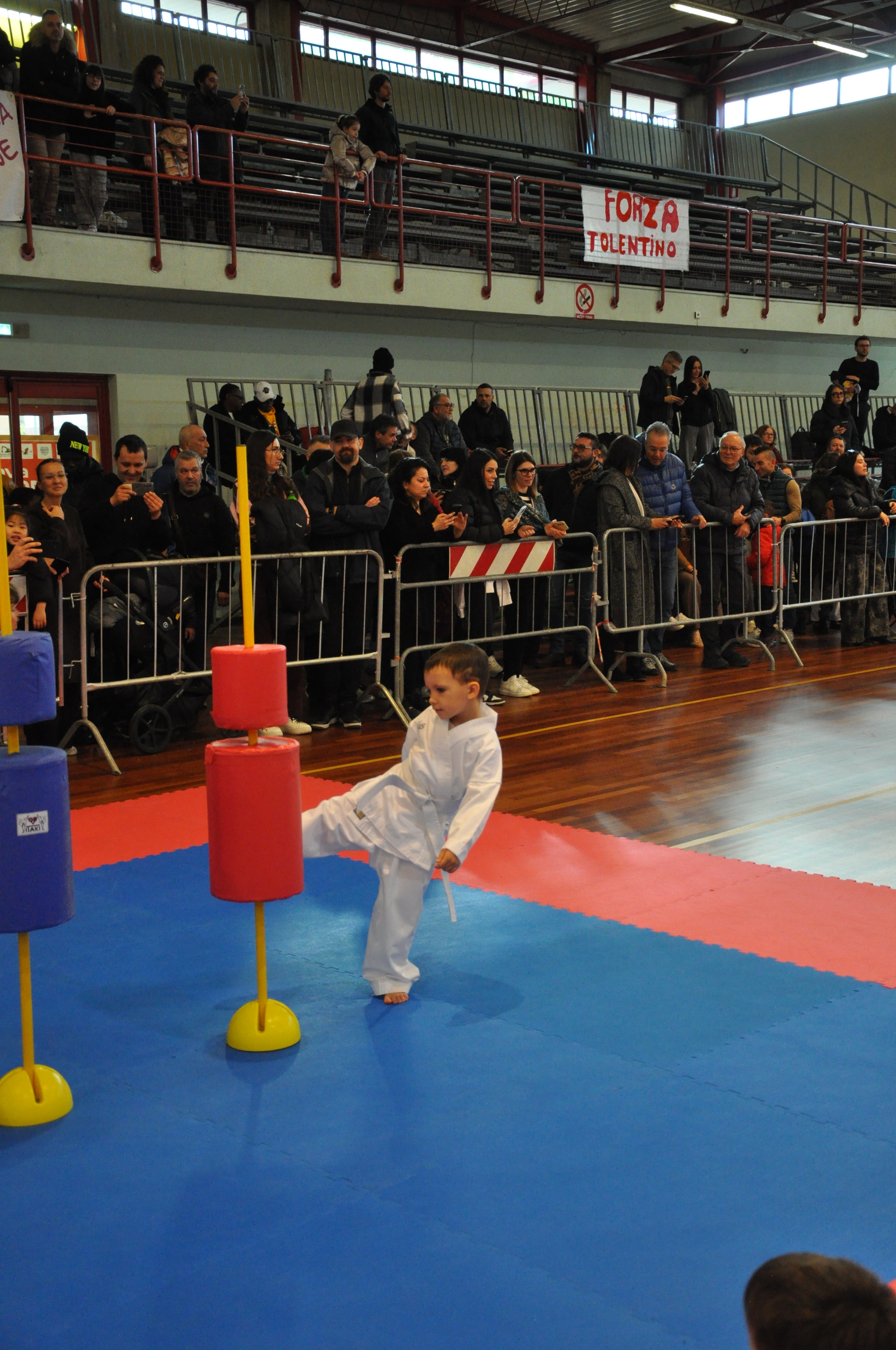 Sessione Tecnica Karate